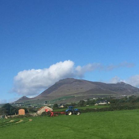 Вилла Willowtree Glamping Mournes Annalong Экстерьер фото