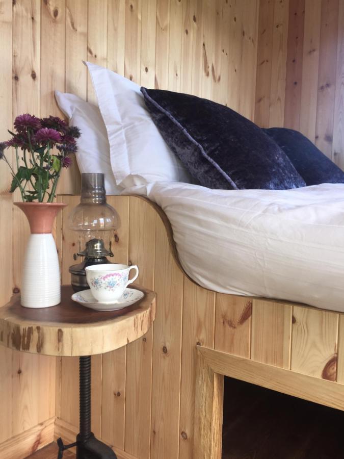Вилла Willowtree Glamping Mournes Annalong Экстерьер фото