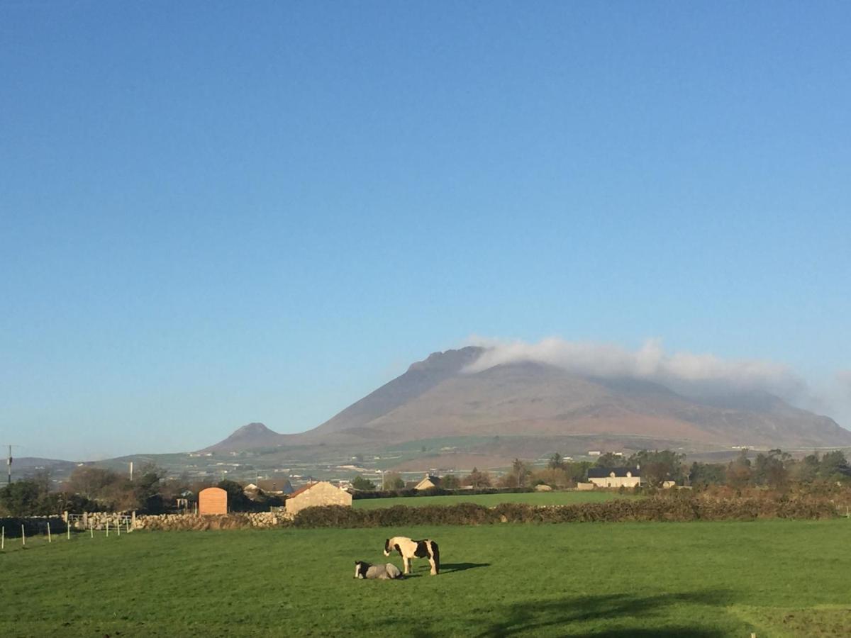 Вилла Willowtree Glamping Mournes Annalong Экстерьер фото