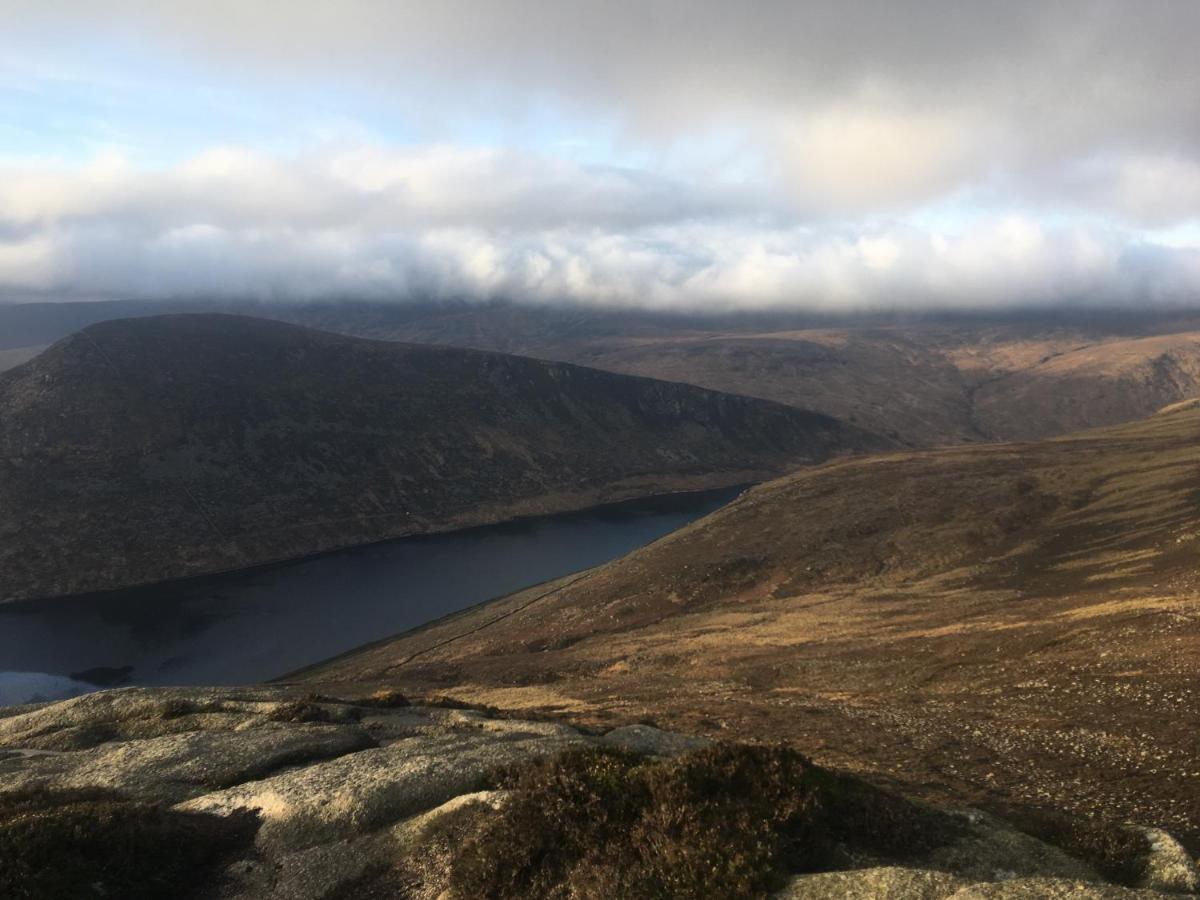 Вилла Willowtree Glamping Mournes Annalong Экстерьер фото